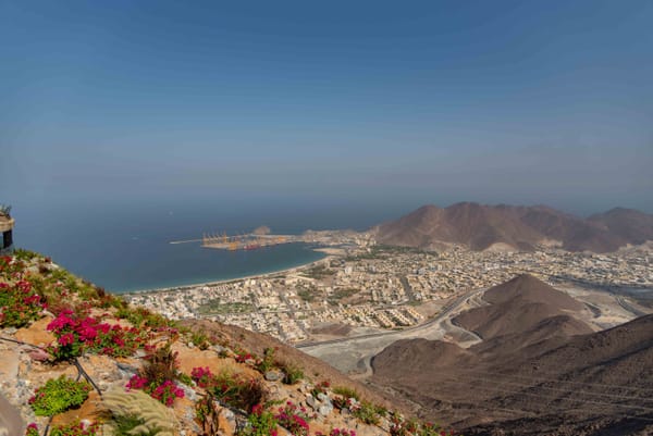 Khorfakkan in the Eastern Region produces excellent mangoes due to its natural environment.