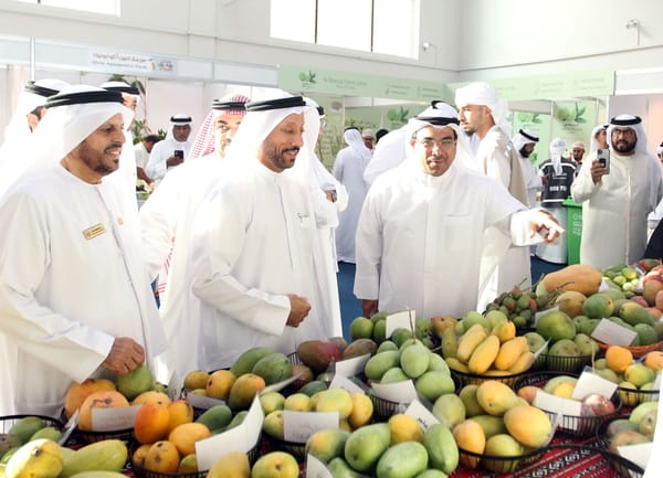 The Mango Festival 2024 has begun at Expo Khor Fakkan.